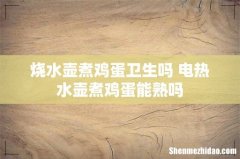 烧水壶煮鸡蛋卫生吗 电热水壶煮鸡蛋能熟吗