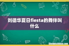 刘德华夏日fiesta的舞伴叫什么