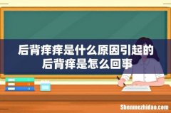后背痒痒是什么原因引起的 后背痒是怎么回事