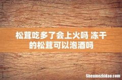 松茸吃多了会上火吗 冻干的松茸可以泡酒吗