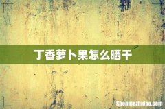 丁香萝卜果怎么晒干