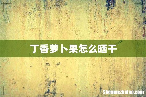 丁香萝卜果怎么晒干