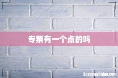 专票有一个点的吗
