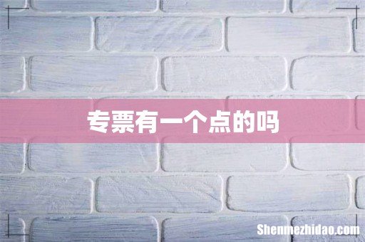 专票有一个点的吗