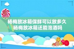 杨梅放冰箱保鲜可以放多久 杨梅放冰箱还能泡酒吗