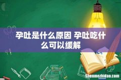 孕吐是什么原因 孕吐吃什么可以缓解
