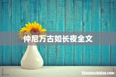 仲尼万古如长夜全文