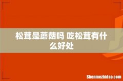 松茸是蘑菇吗 吃松茸有什么好处