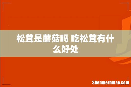 松茸是蘑菇吗 吃松茸有什么好处
