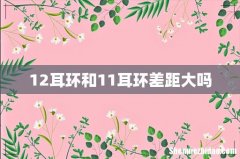 12耳环和11耳环差距大吗