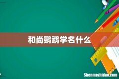和尚鹦鹉学名什么