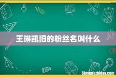 王琳凯旧的粉丝名叫什么