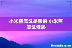小米蕉怎么是酸的 小米蕉怎么催熟