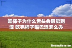 吃柿子为什么舌头会感觉到涩 吃完柿子嘴巴涩怎么办
