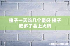 橙子一天吃几个最好 橙子吃多了会上火吗