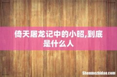 倚天屠龙记中的小昭,到底是什么人