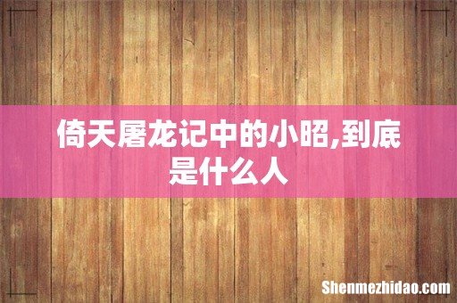 倚天屠龙记中的小昭,到底是什么人