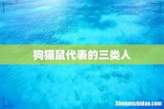 狗猫鼠代表的三类人