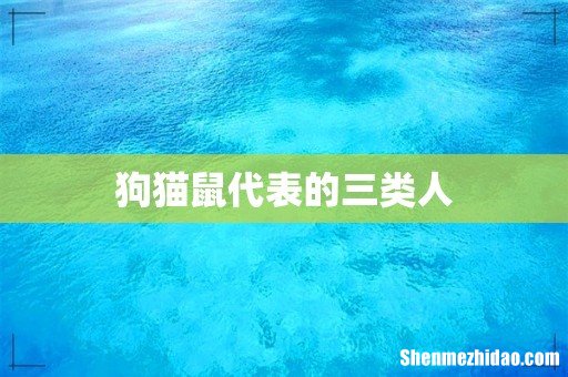 狗猫鼠代表的三类人