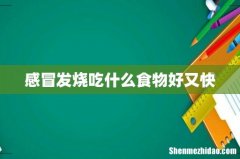 感冒发烧吃什么食物好又快