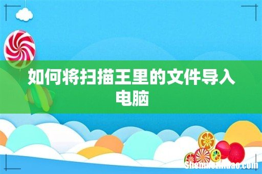 如何将扫描王里的文件导入电脑