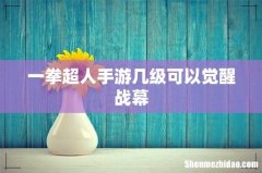 一拳超人手游几级可以觉醒战幕