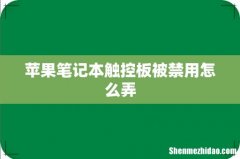苹果笔记本触控板被禁用怎么弄