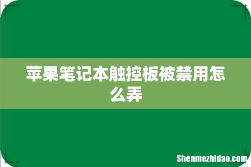 苹果笔记本触控板被禁用怎么弄
