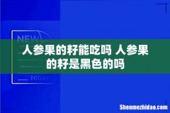 人参果的籽能吃吗 人参果的籽是黑色的吗