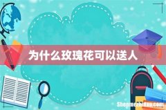 为什么玫瑰花可以送人