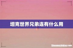 坦克世界兄弟连有什么用