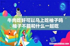 牛肉吃好可以马上吃柚子吗 柚子不能和什么一起吃