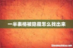 一半表格被隐藏怎么找出来