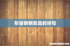 形容明明就是的诗句
