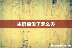主屏幕没了怎么办