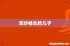 浣纱杨炎的儿子