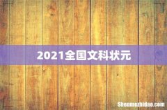 2021全国文科状元