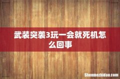 武装突袭3玩一会就死机怎么回事