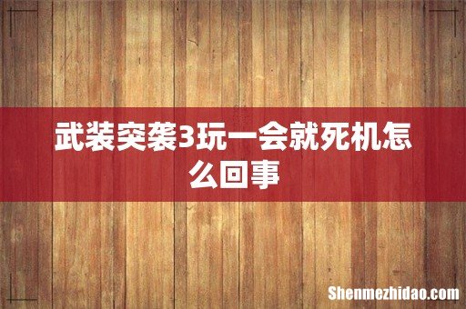 武装突袭3玩一会就死机怎么回事