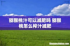 猕猴桃汁可以减肥吗 猕猴桃怎么榨汁减肥