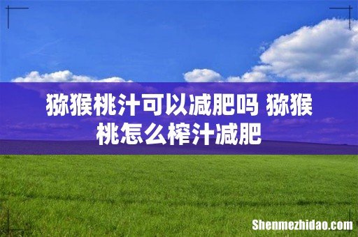 猕猴桃汁可以减肥吗 猕猴桃怎么榨汁减肥