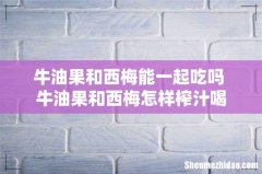 牛油果和西梅能一起吃吗 牛油果和西梅怎样榨汁喝