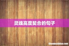 灵魂高度契合的句子