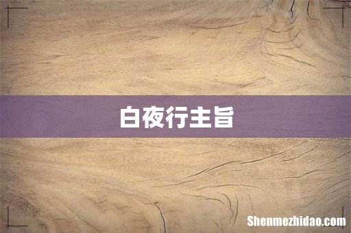 白夜行主旨