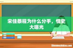 宋佳蔡程为什么分手，情史大曝光