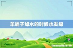 羊蝎子焯水的时候水发绿