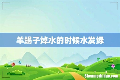 羊蝎子焯水的时候水发绿