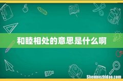 和睦相处的意思是什么啊