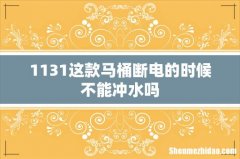 1131这款马桶断电的时候不能冲水吗