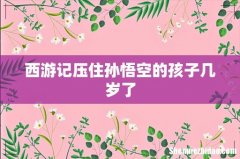 西游记压住孙悟空的孩子几岁了